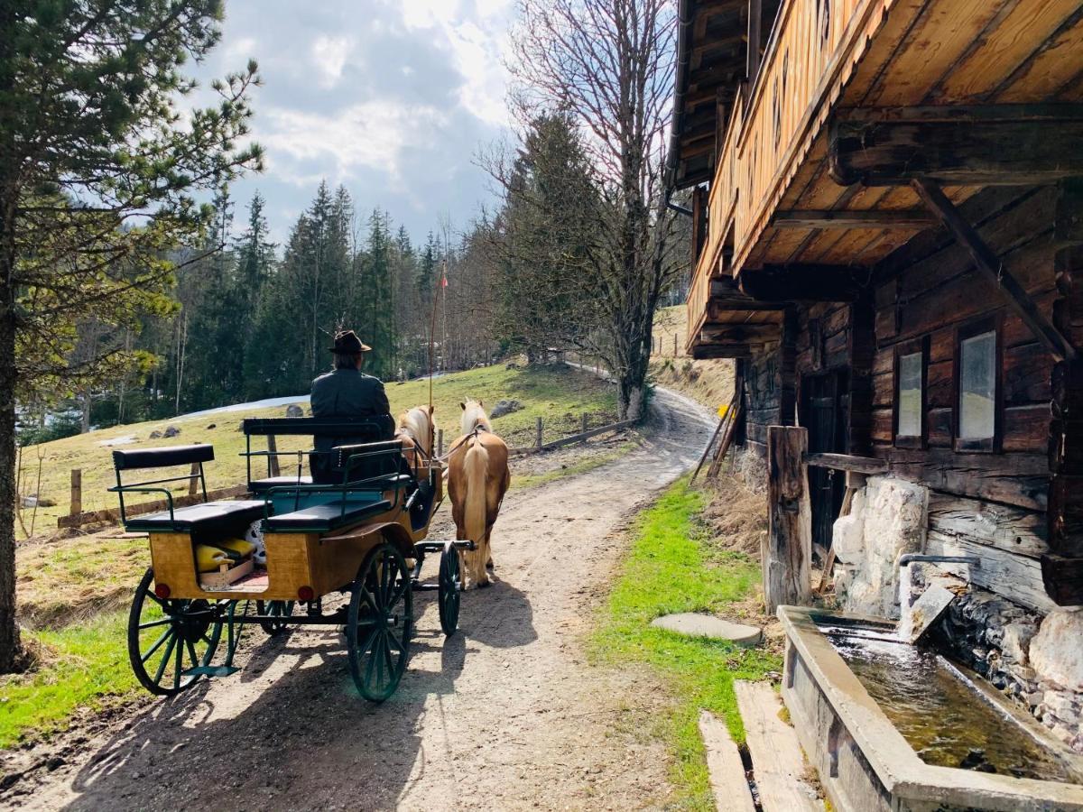 Bergkristallhaus 拉姆绍达赫斯坦 外观 照片